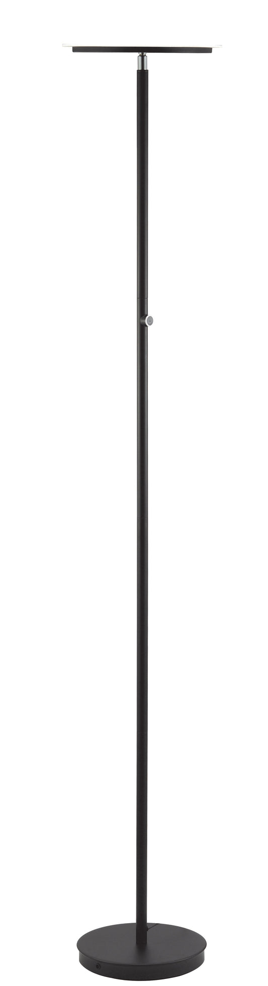 Massey Black Floor Lamp ACME East