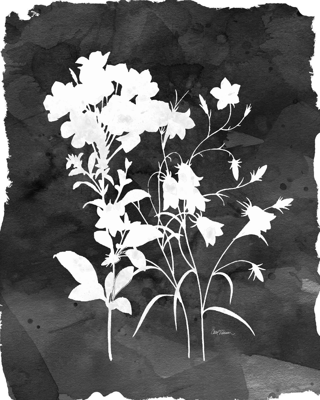 Small - Black Botanical II By Carol Robinson - Black Classy Art