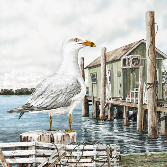 Majestic Seagull By James Harris - Gray Classy Art