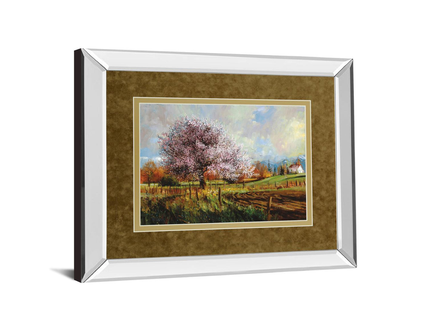 Spring Blossoms By Larry Winborg - Mirror Framed Print Wall Art - Green Classy Art