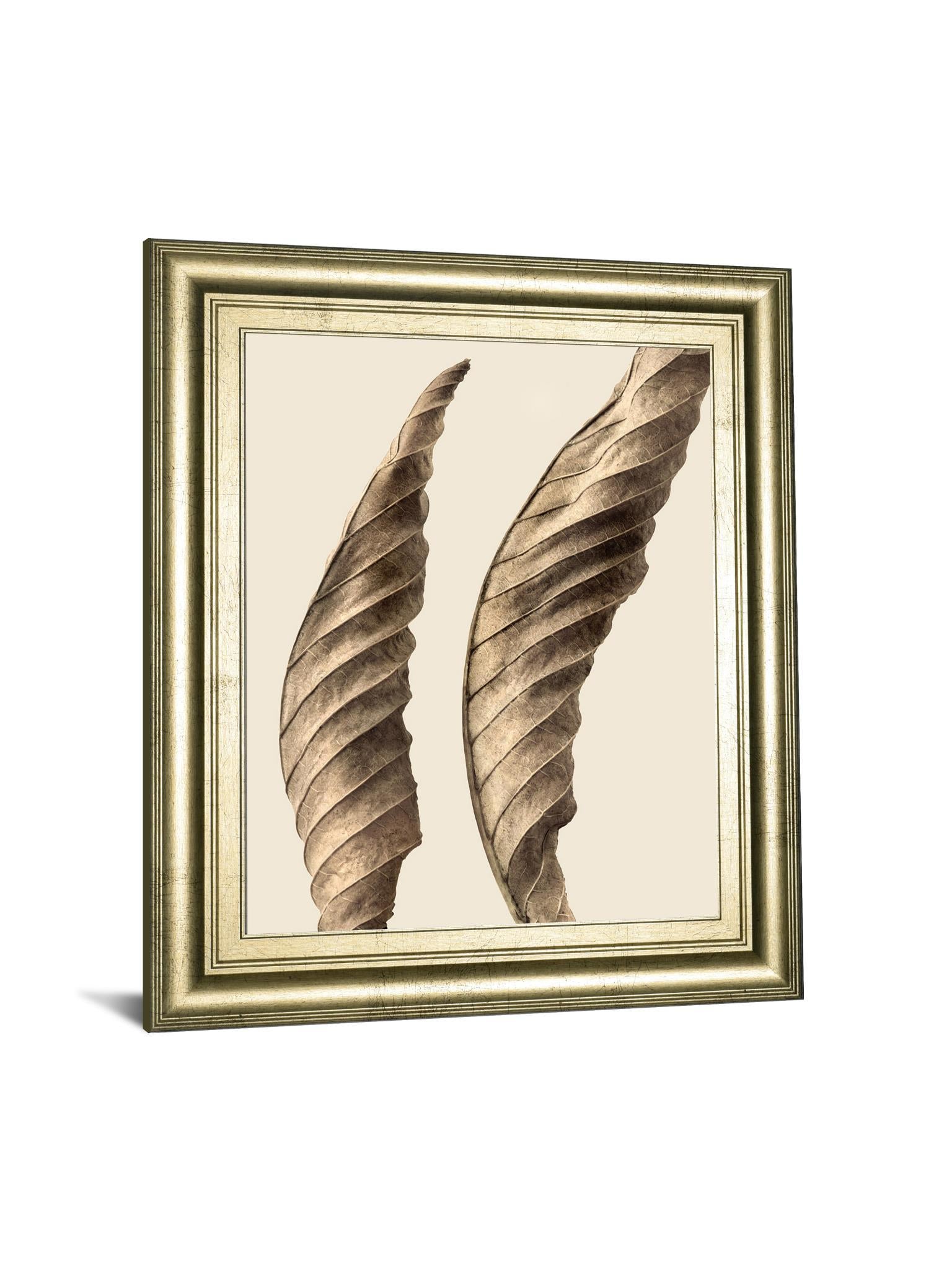 Turning Leaves I By Jeff Friesen - Framed Print Wall Art - Dark Brown Classy Art