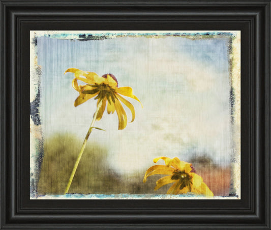 Blackeyed Susan Il By Meghan Mcsweeney - Framed Print Wall Art - Yellow Classy Art