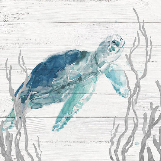 Aqua Turtle I By Carol Robinson - Light Blue Classy Art