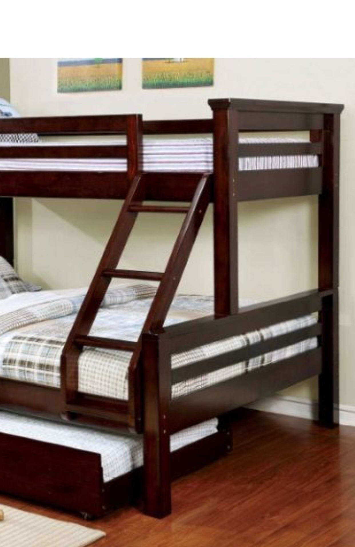 UNIVERSITY Dark Walnut Twin/Queen Bunk Bed + Trundle FOA East