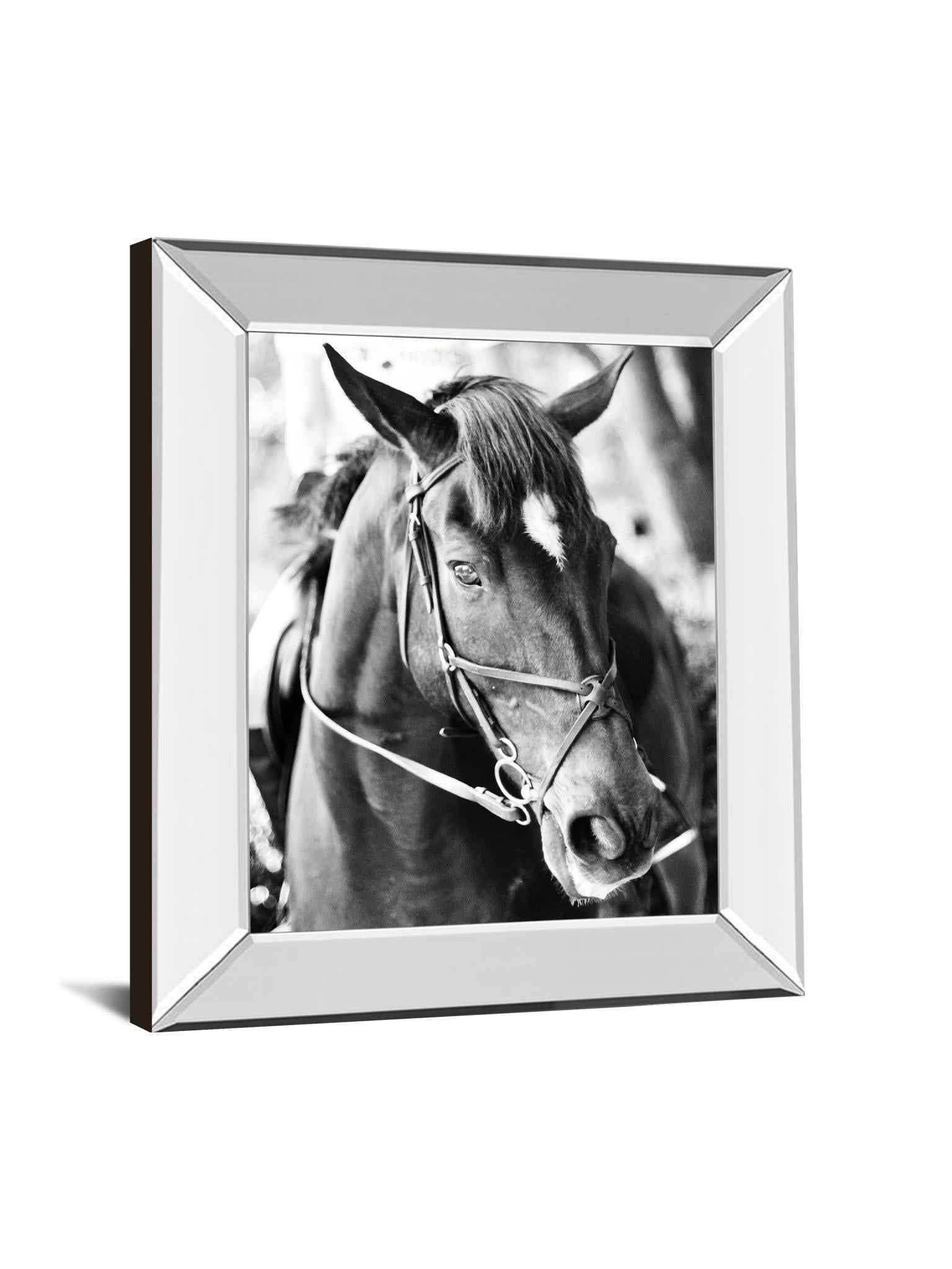 Derby I By Susan Bryant - Mirror Framed Print Wall Art - Black Classy Art