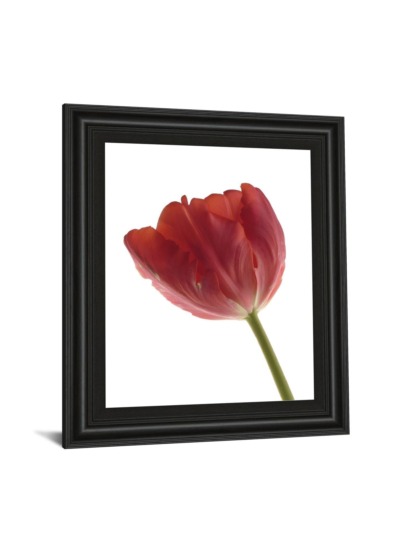 Red Tulip By Art Photo Pro - Framed Print Wall Art - Red Classy Art