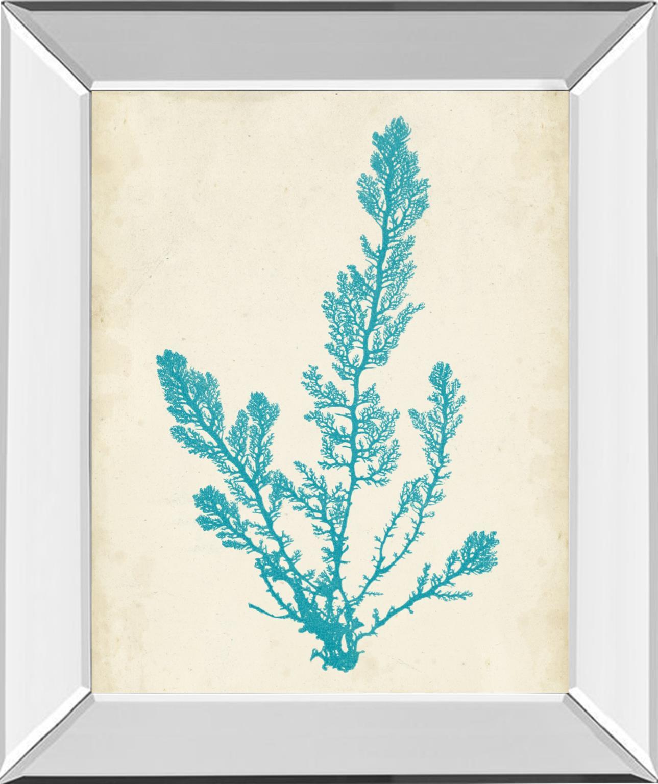 Aquamarine Seaweed VI By Vision Studio - Light Blue Classy Art