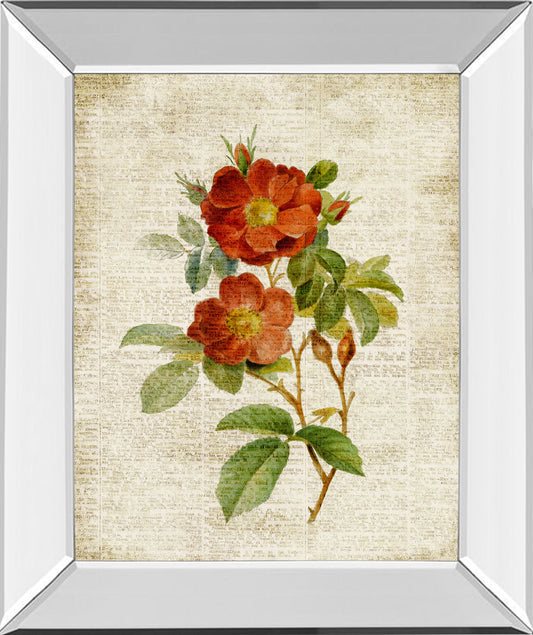 Roses On Newsprint Il By Lanie Loreth - Mirror Framed Print Wall Art - Beige Classy Art