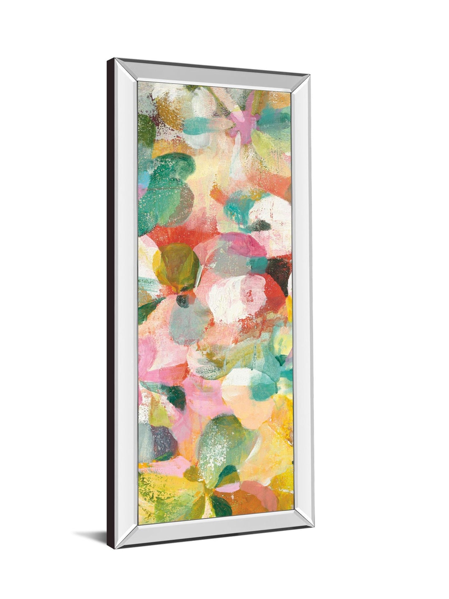 Happy Garden II By Danhui Nai - Mirrored Frame Wall Art - Pink Classy Art