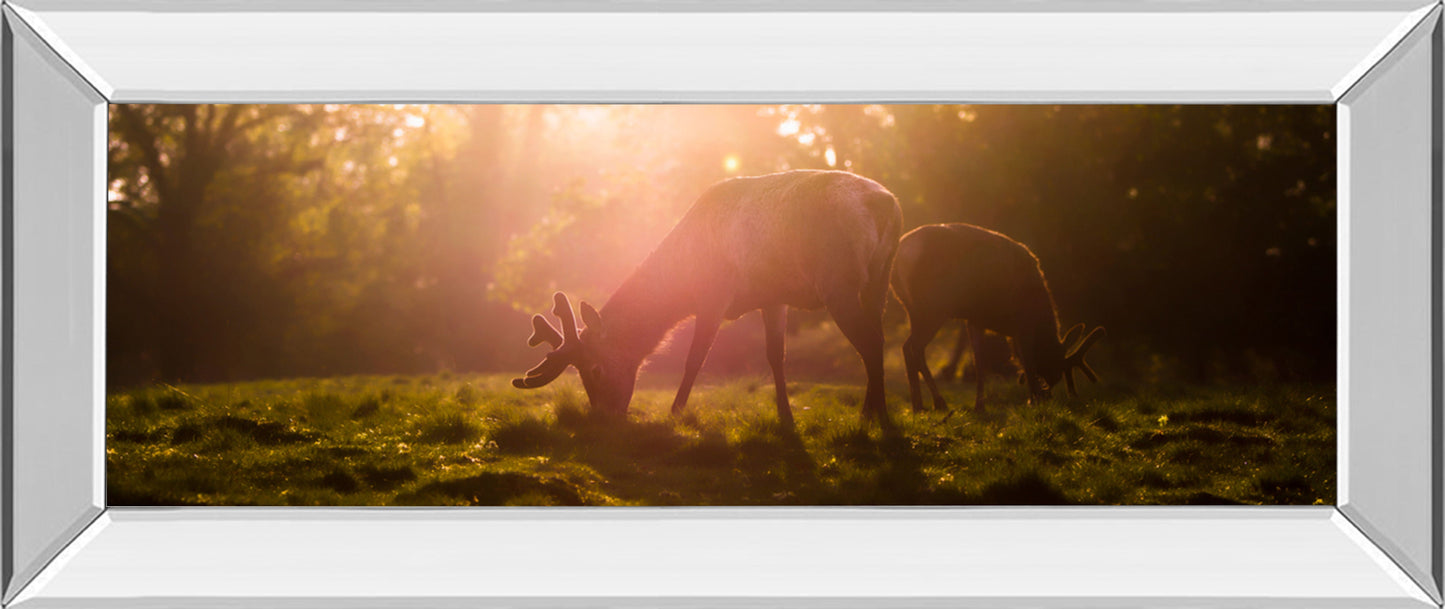 Morning Haze By Joe Reynolds - Print Wall Art - Dark Brown Classy Art