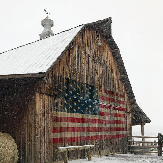 America Proud By Carol Robinson - Light Brown Classy Art