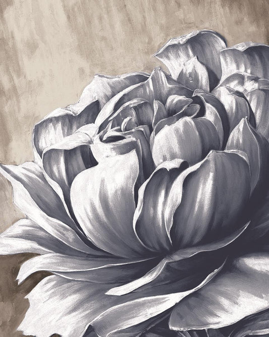 Small - Charming Floral II By Dogwood Portfolio - Gray Classy Art