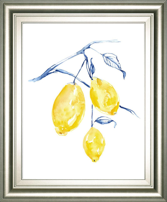 22x26 Watercolor Lemons I By Jennifer Goldberger - Yellow Classy Art