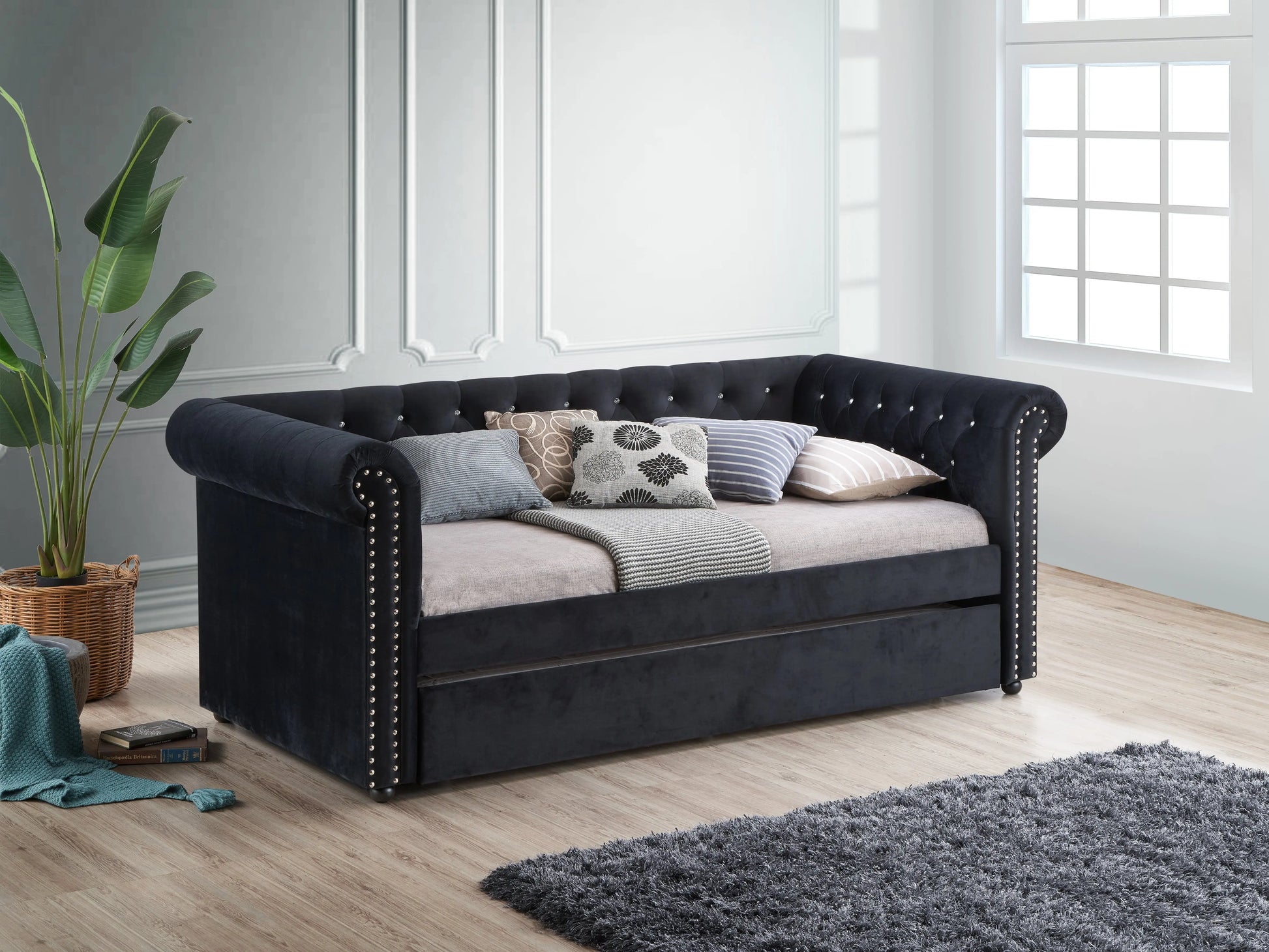 Ellie Black Velvet Twin Daybed with Trundle Crown Mark