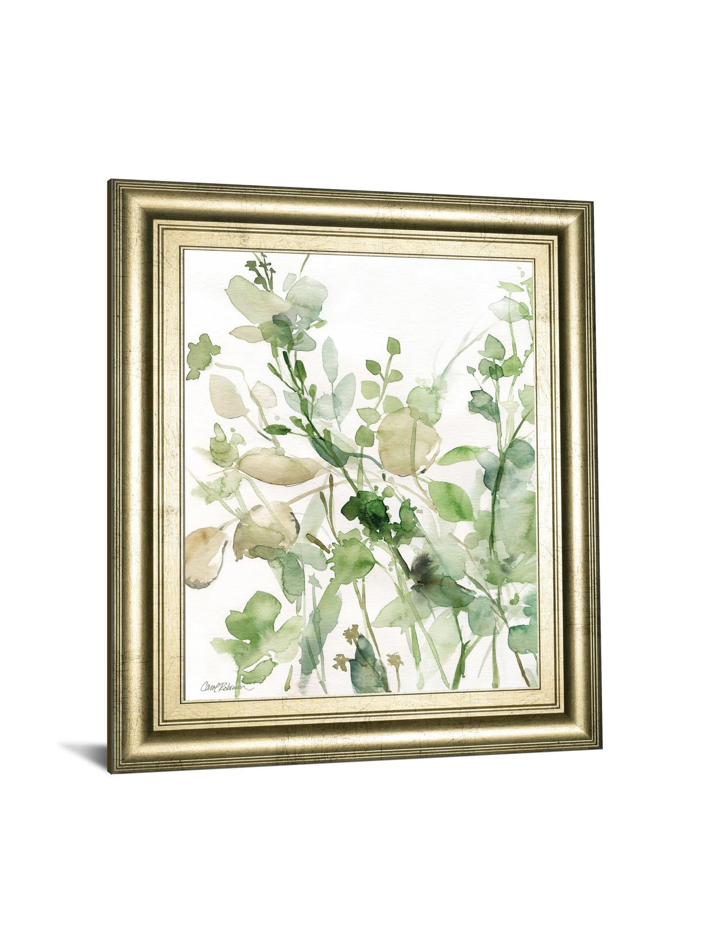 Sage Garden II By Carol Robinson - Framed Print Wall Art - Green Classy Art