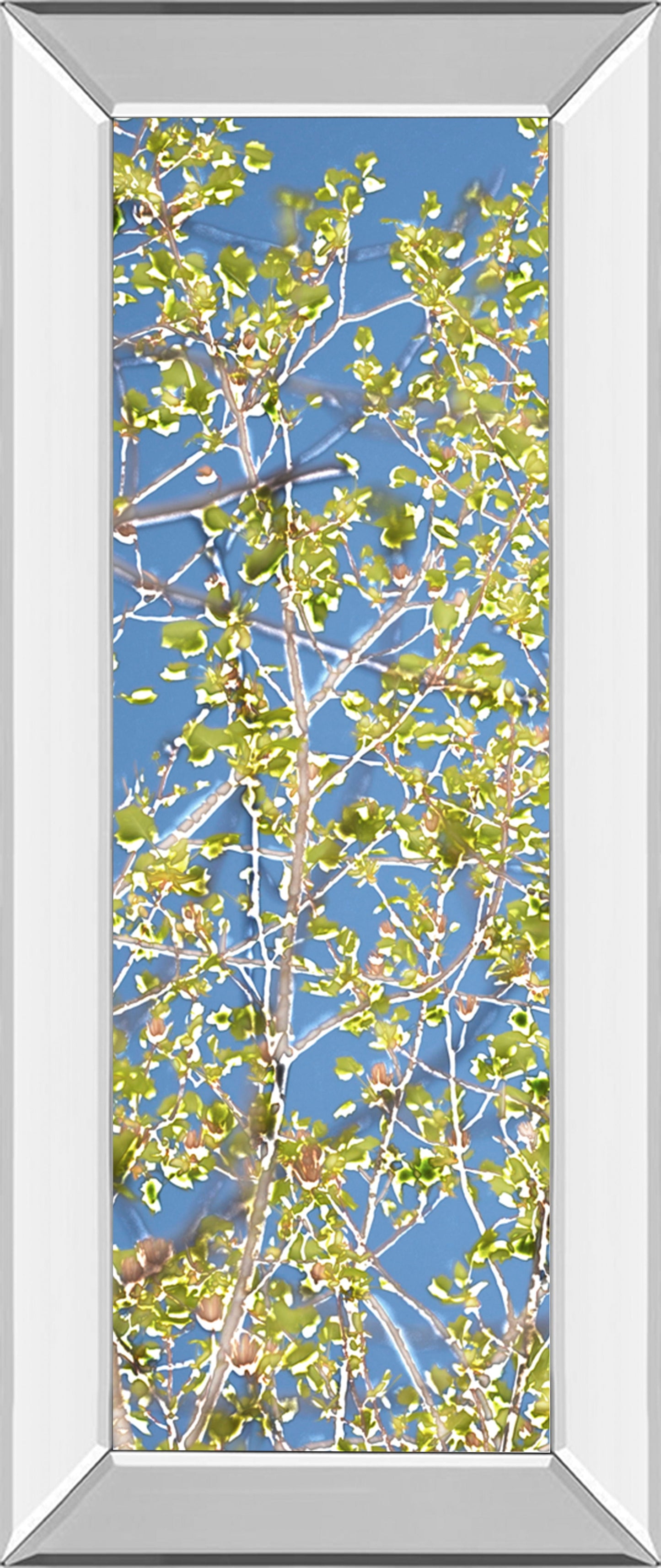 Spring Poplars I By Sharon Chandler - Mirror Framed Print Wall Art - Green Classy Art