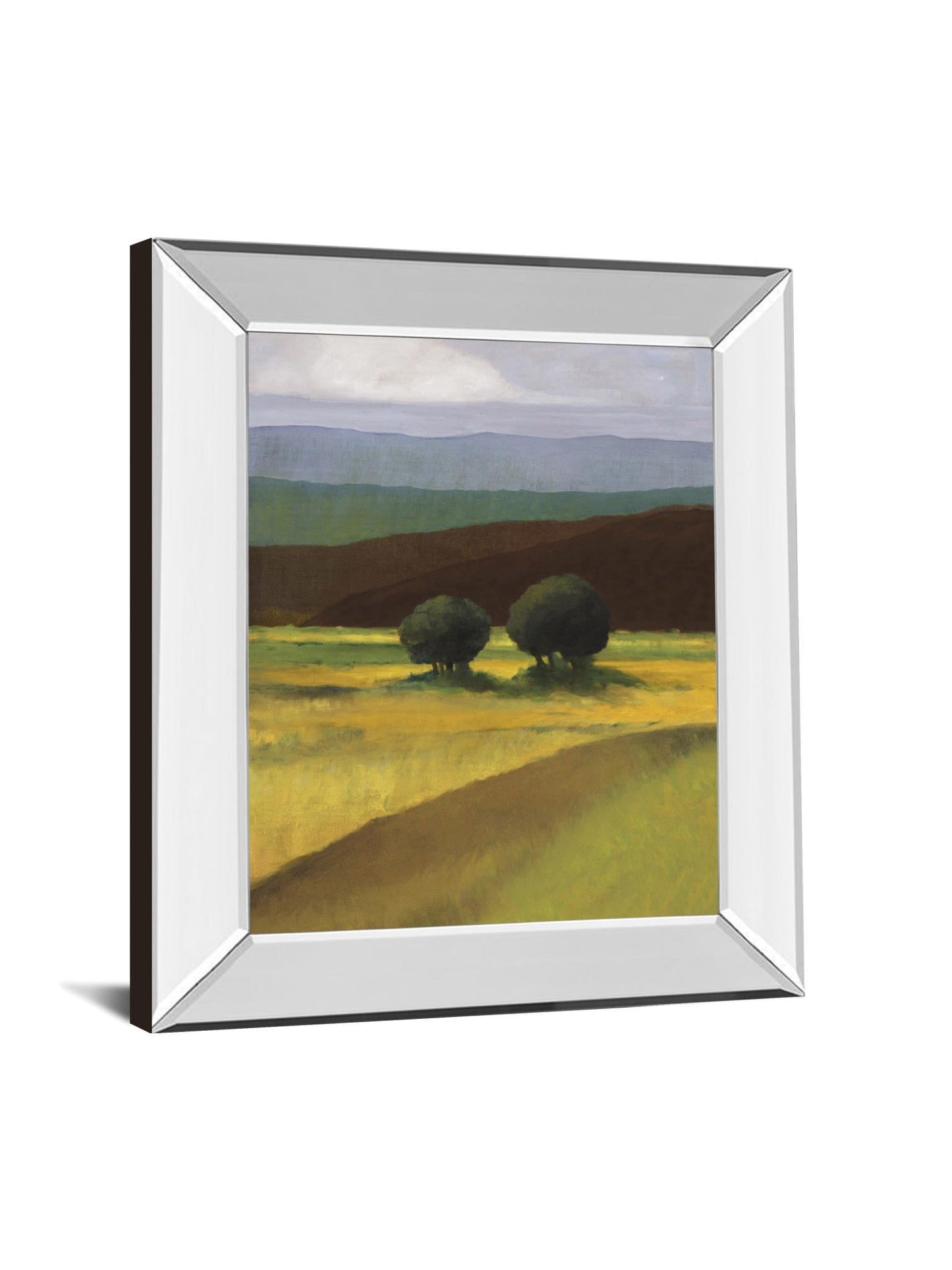 Field Of Light By Judith D'agostino - Mirror Framed Print Wall Art - Green Classy Art