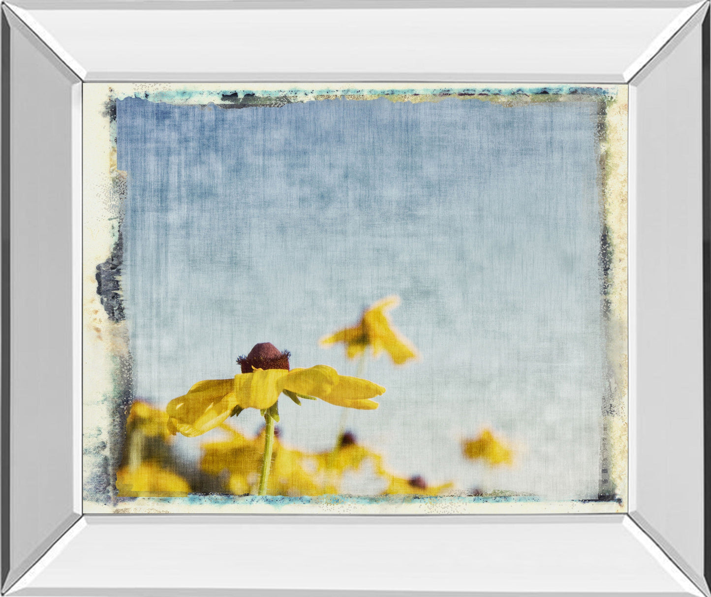 Blackeyed Susan's I By Meghan Mc Sweeney - Mirror Framed Print Wall Art - Yellow Classy Art