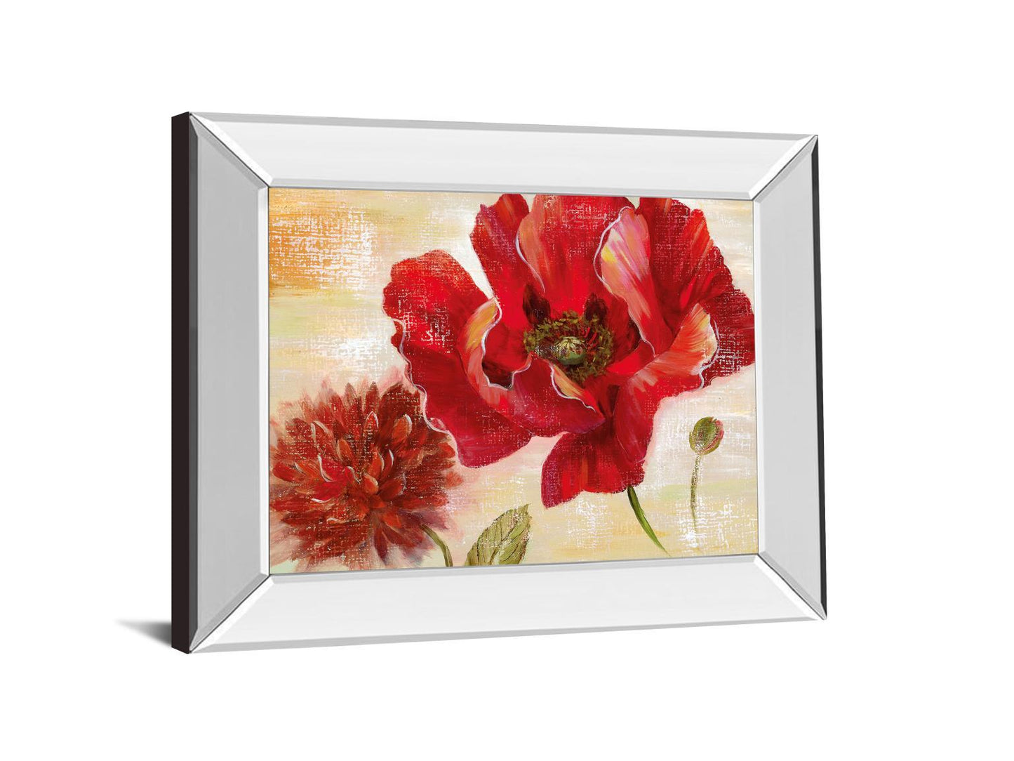 Passion For Poppies Il By Nan - Mirror Framed Print Wall Art - Red Classy Art