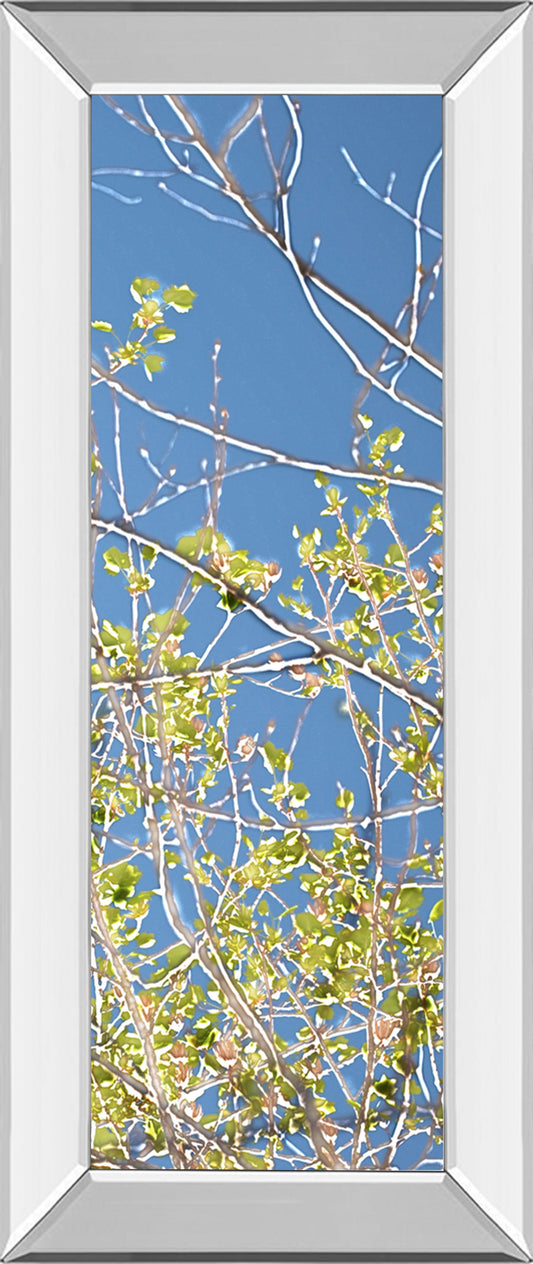 Spring Poplars IV By Sharon Chandler - Mirror Framed Print Wall Art - Green Classy Art