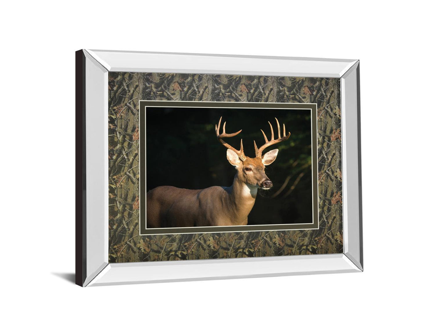 White Tail Buck By Tony Campbell Double Matted - Mirror Framed Print Wall Art - Black Classy Art