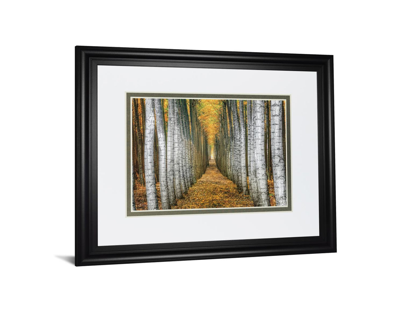 Tree Farm By Cahill - Framed Print Wall Art - Yellow Classy Art