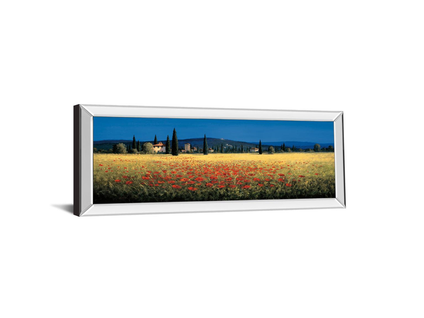 Tuscan Panorama-poppies By David Short - Mirrored Frame Wall Art - Blue Classy Art