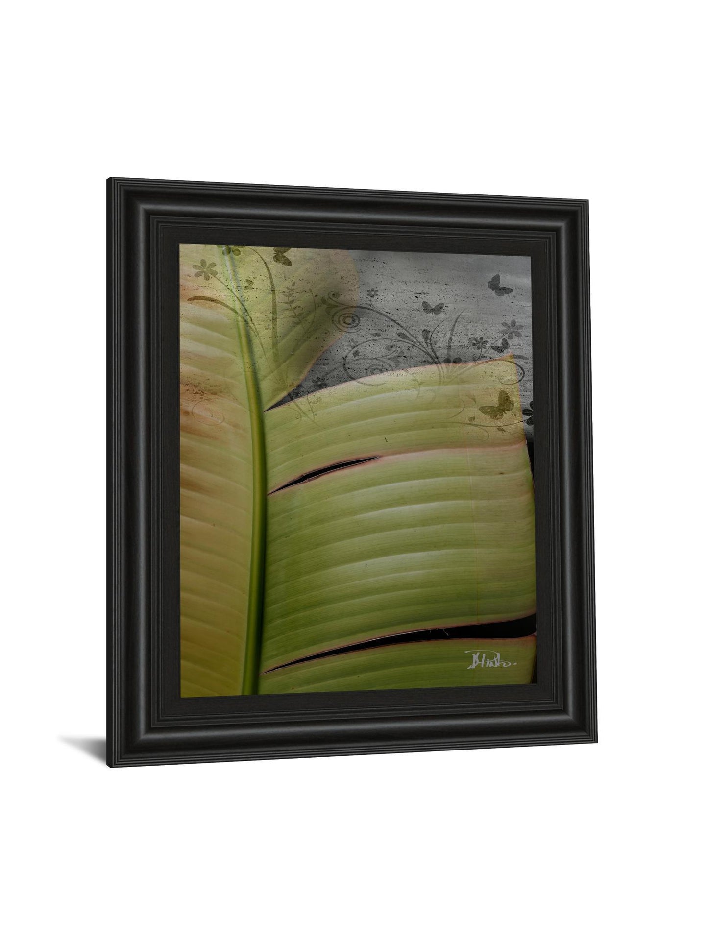 Butterfly Palm Il By Patricia Pinto - Framed Print Wall Art - Green Classy Art