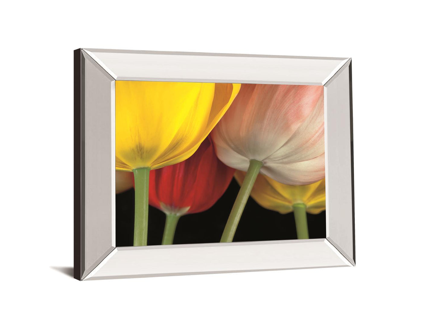 Sunshine Tulips By Frank, A. - Mirror Framed Print Wall Art - Yellow Classy Art