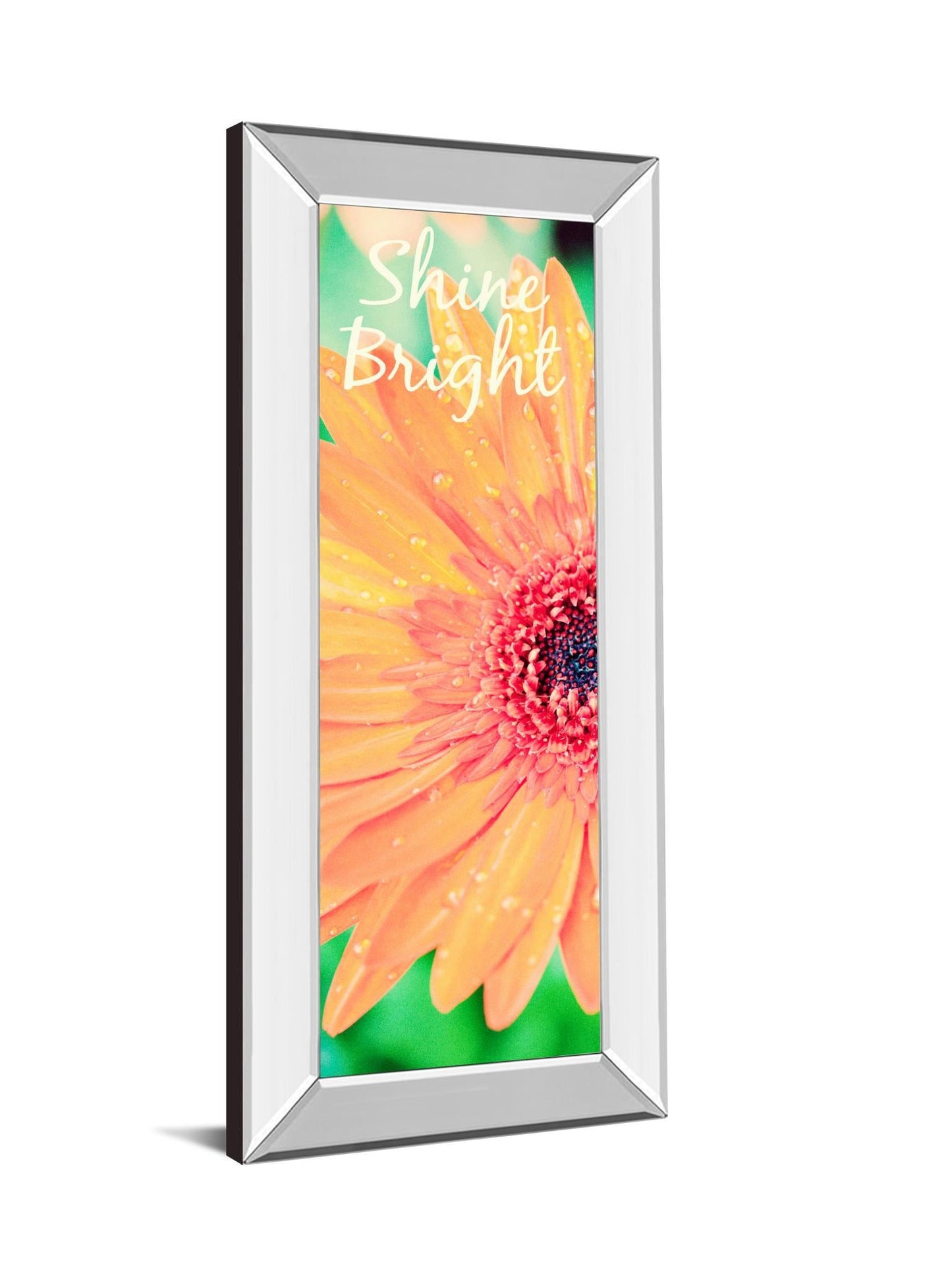 Shine Bright Daisy By Susan Bryant - Mirror Framed Print Wall Art - Orange Classy Art