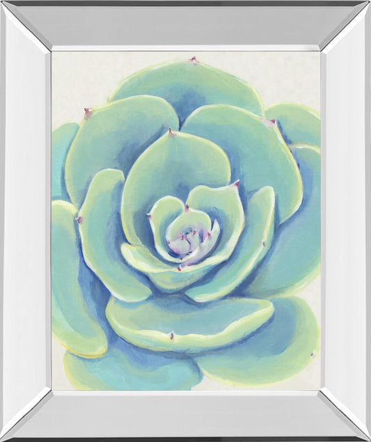 Pastel Succulent IV By Tim OToole - Light Blue Classy Art