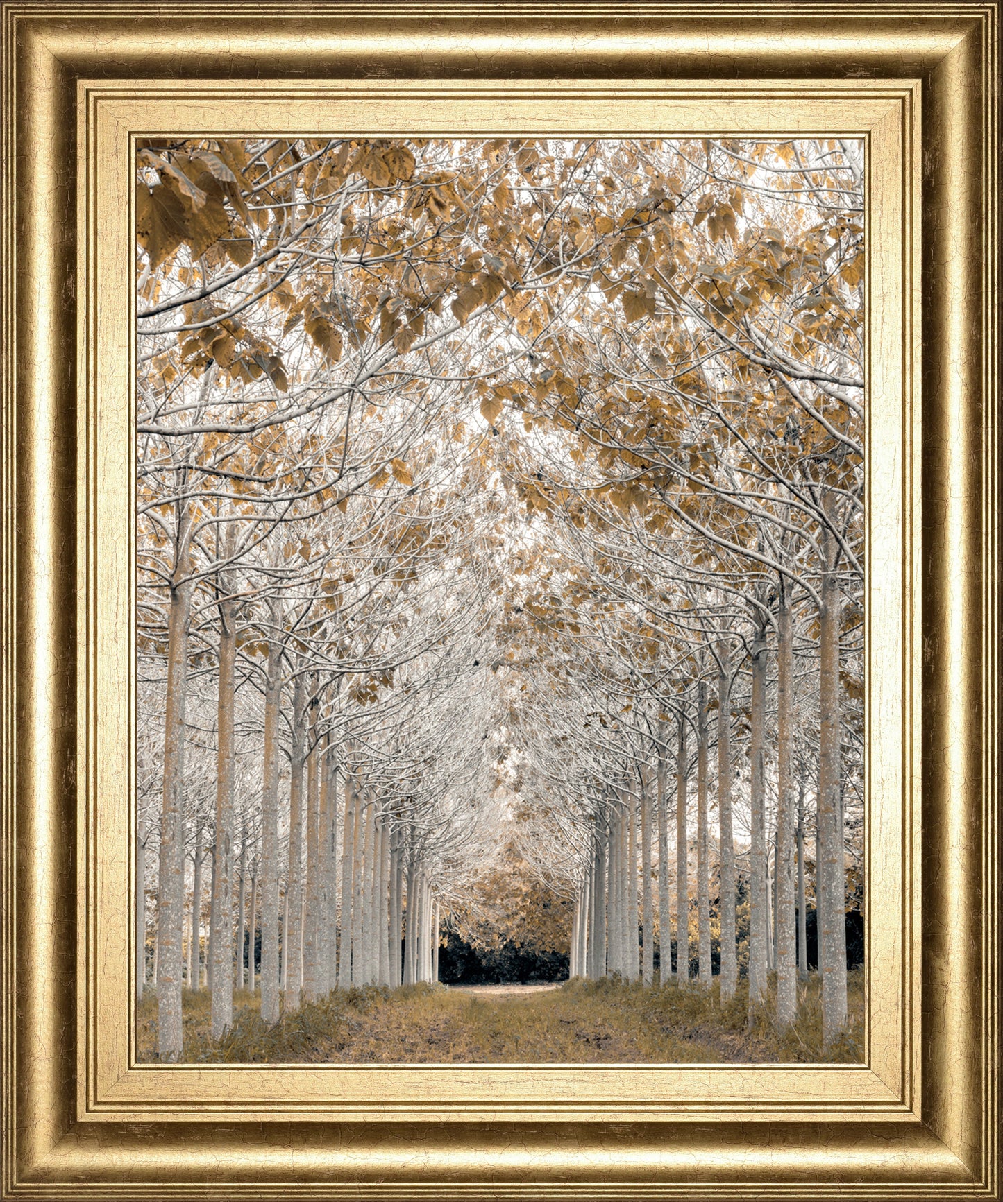 White Gold By Assaf Frank - Framed Print Wall Art - Gold Classy Art