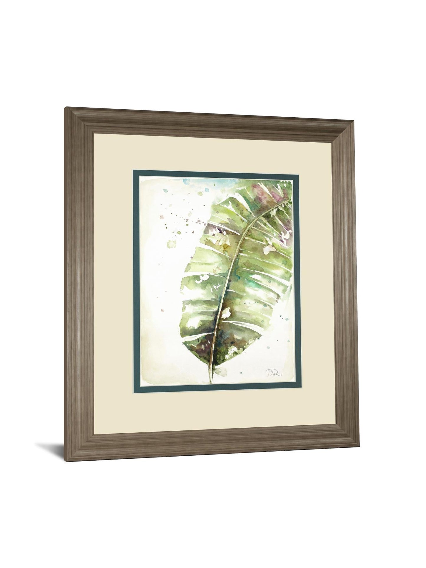 Watercolor Plantain Leaves Il By Patricia Pinto - Framed Print Wall Art - Green Classy Art