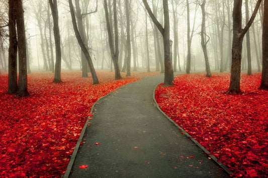 Floating Tempered Glass With Foil Magic Forest - Red Classy Art