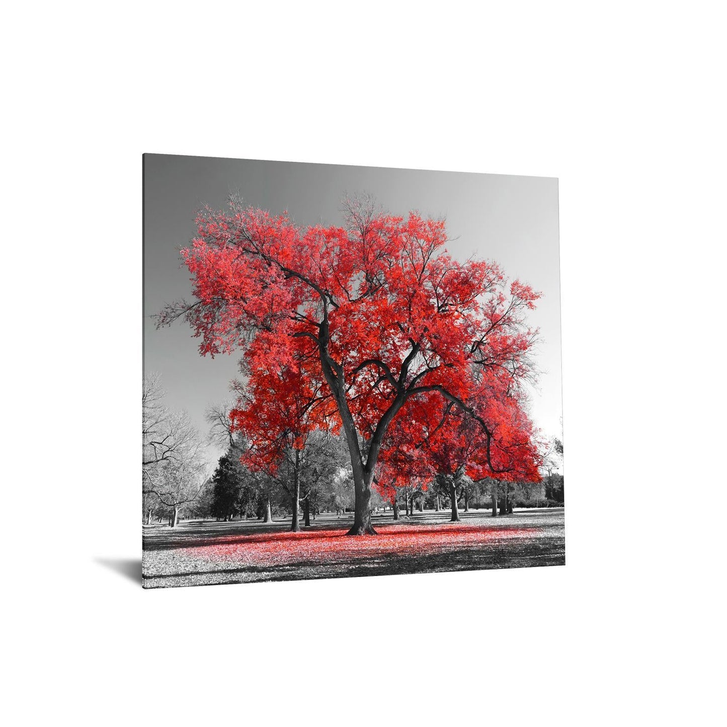 Temp Glass With Foil - Red Tree - Red Classy Art