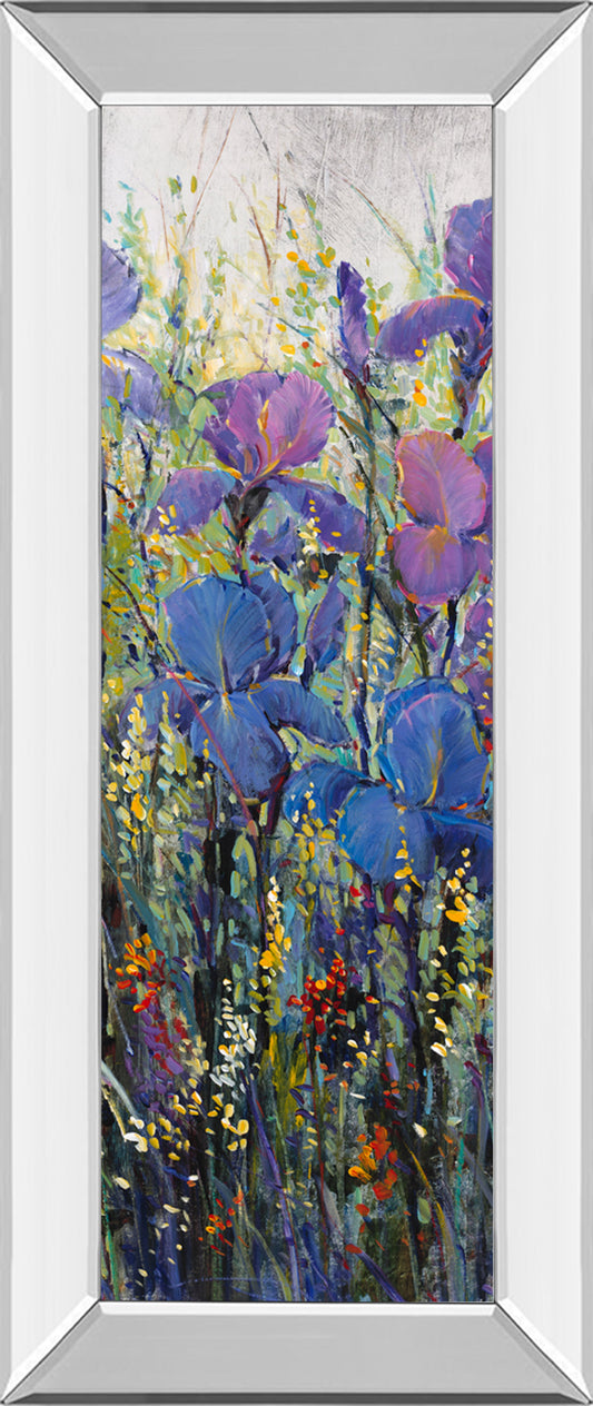 Iris Field Il By Tim Otoole - Mirror Framed Print Wall Art - Purple Classy Art