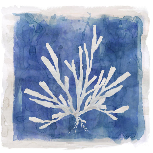 Small - Coastal Washes Coral I By Carol Robinson - Blue Classy Art