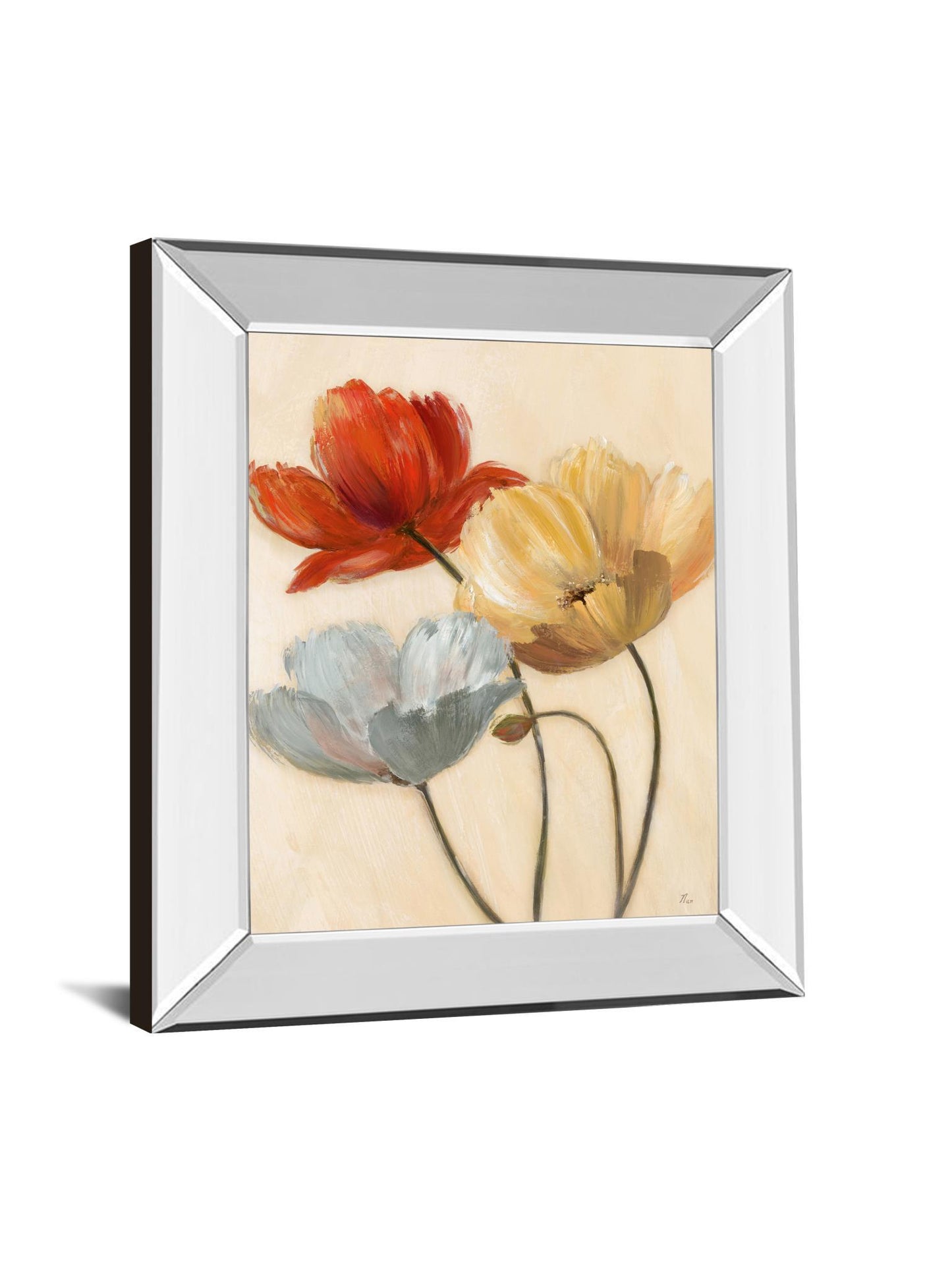 Poppy Palette Il By Nan - Mirror Framed Print Wall Art - Red Classy Art