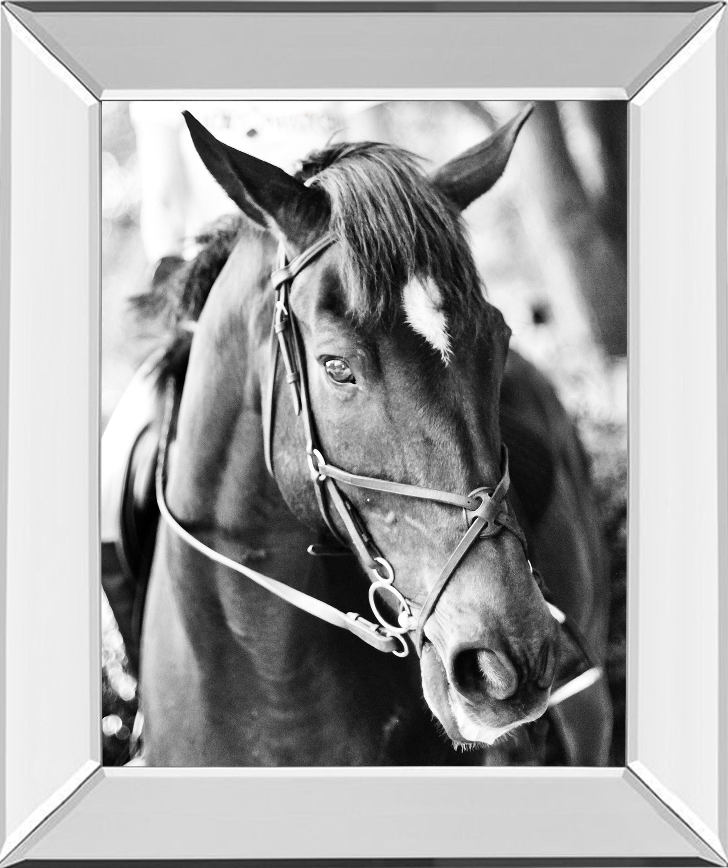 Derby I By Susan Bryant - Mirror Framed Print Wall Art - Black Classy Art