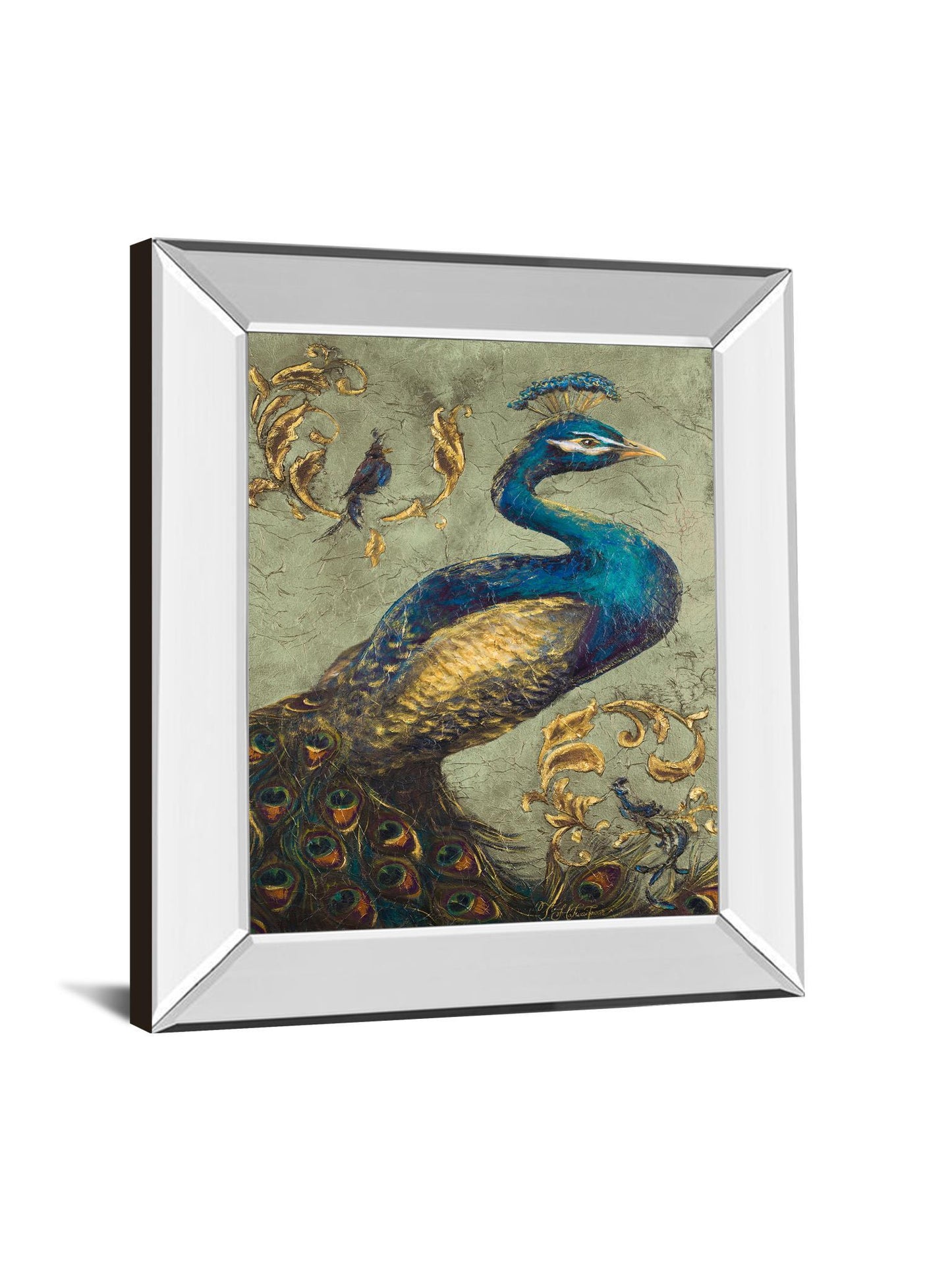 Peacock On Sage I By Tiffany Hakimipour - Mirror Framed Print Wall Art - Blue Classy Art