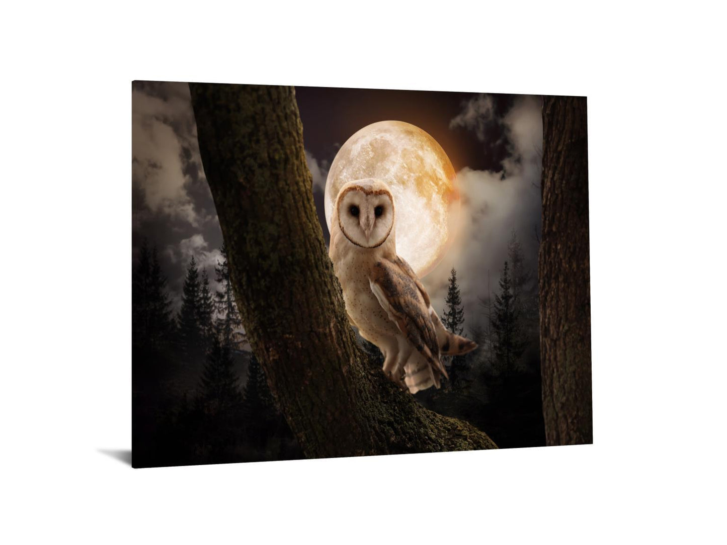 Tempered Glass With Foil - Night Owl - Dark Gray Classy Art