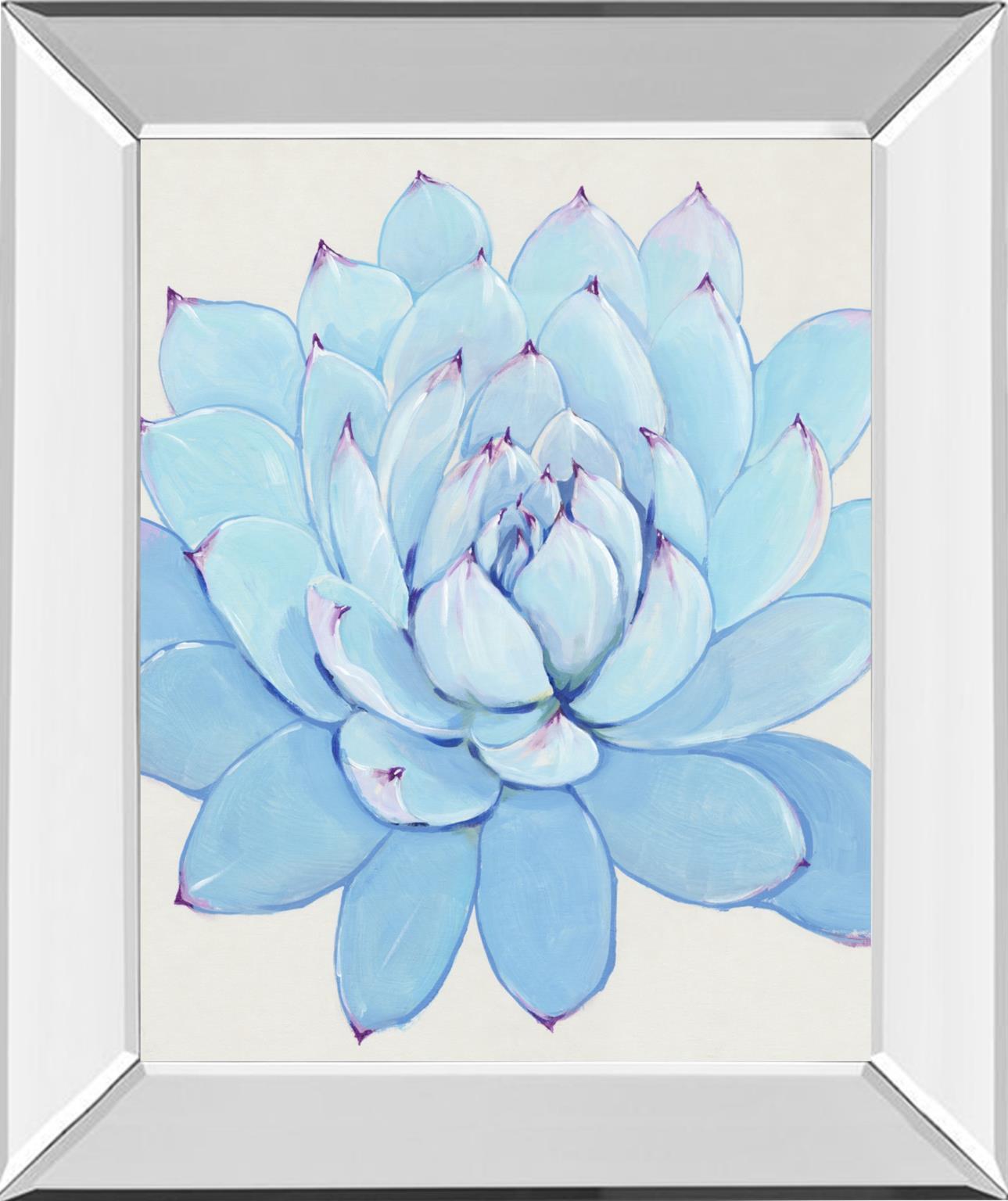 Pastel Succulent II By Tim OToole - Light Blue Classy Art