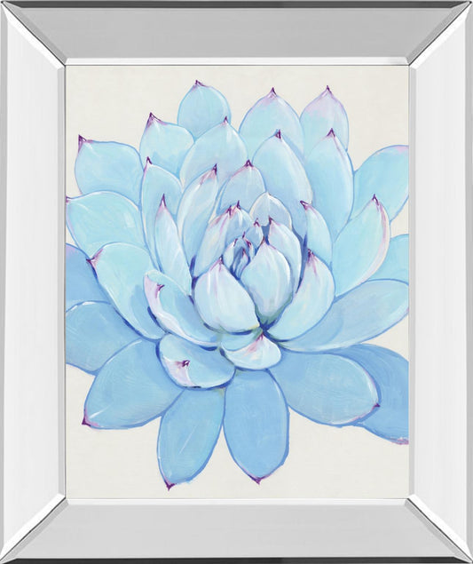 Pastel Succulent II By Tim OToole - Light Blue Classy Art