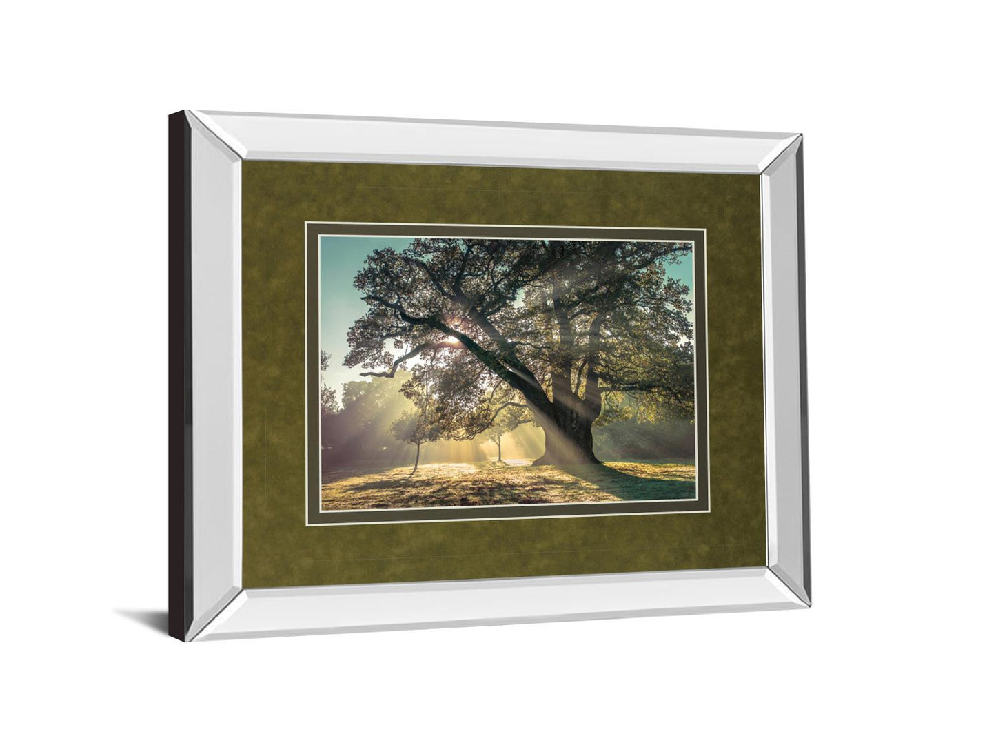 Breaking Through By A. Frank - Mirror Framed Print Wall Art - Green Classy Art