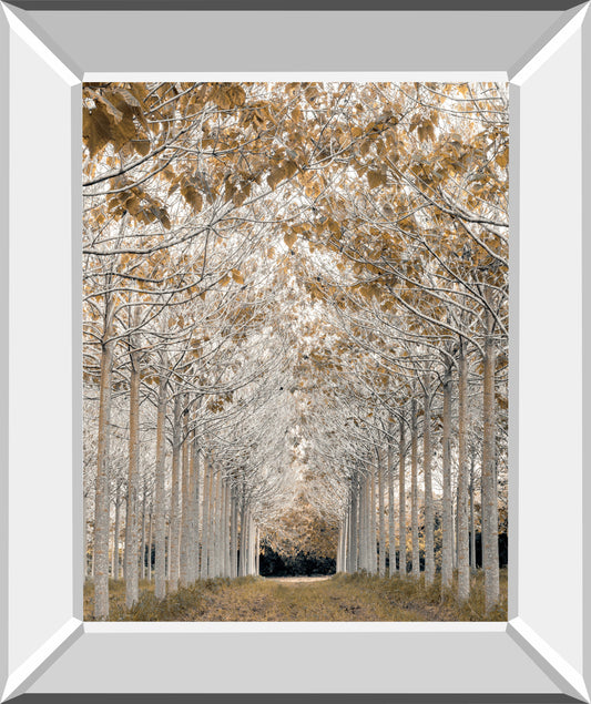 White Gold By Assaf Frank - Mirror Framed Print Wall Art - Pearl Silver Classy Art