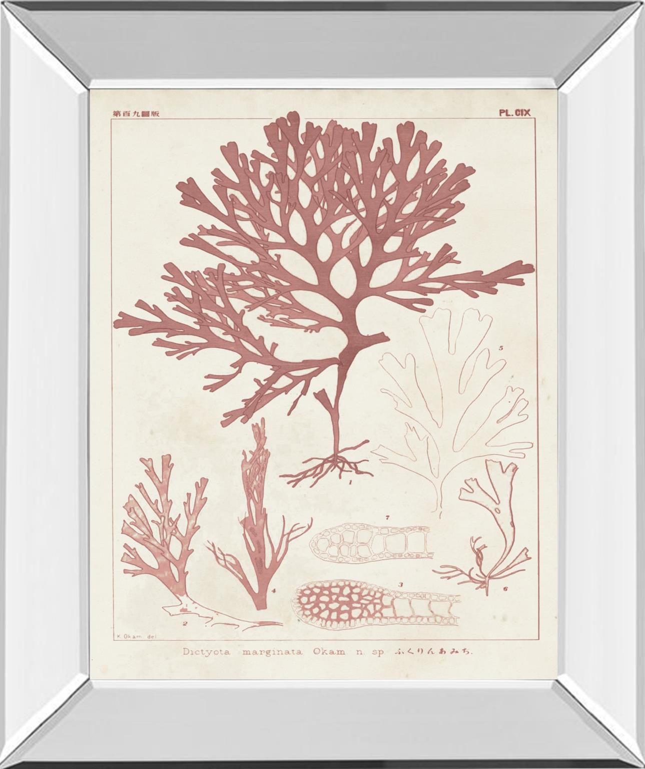 Antique Coral Seaweed II By Vision Studio - Pink Classy Art