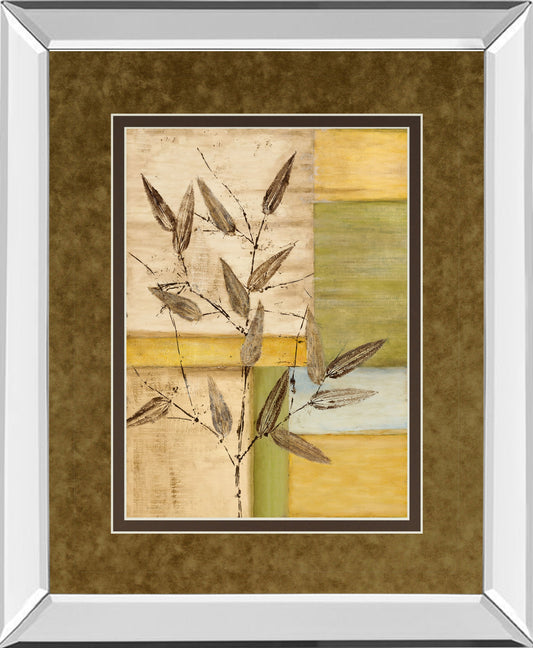 Urban Garden I By Norm Olson - Mirror Framed Print Wall Art - Dark Brown Classy Art