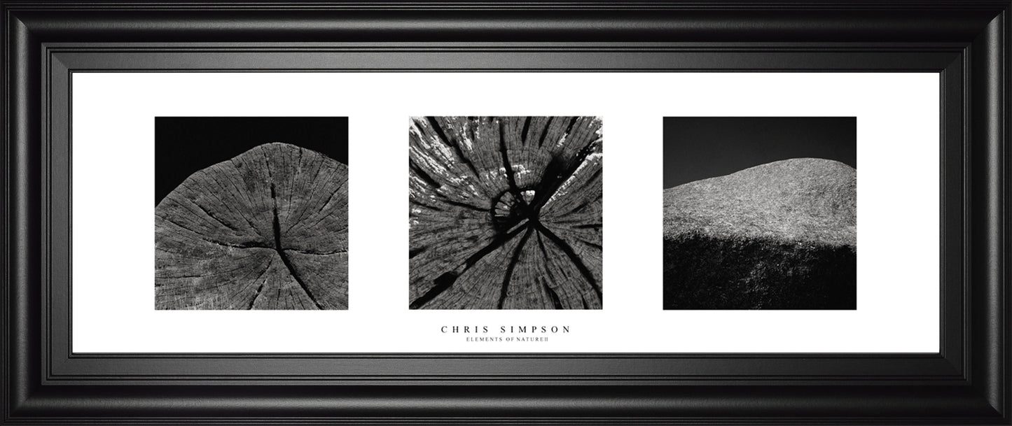 Elements Of Nature 2 By Chris Simpson - Framed Print Wall Art - Black Classy Art