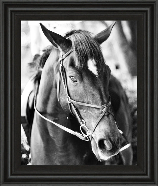 Derby I By Susan Bryant - Framed Print Wall Art - Black Classy Art