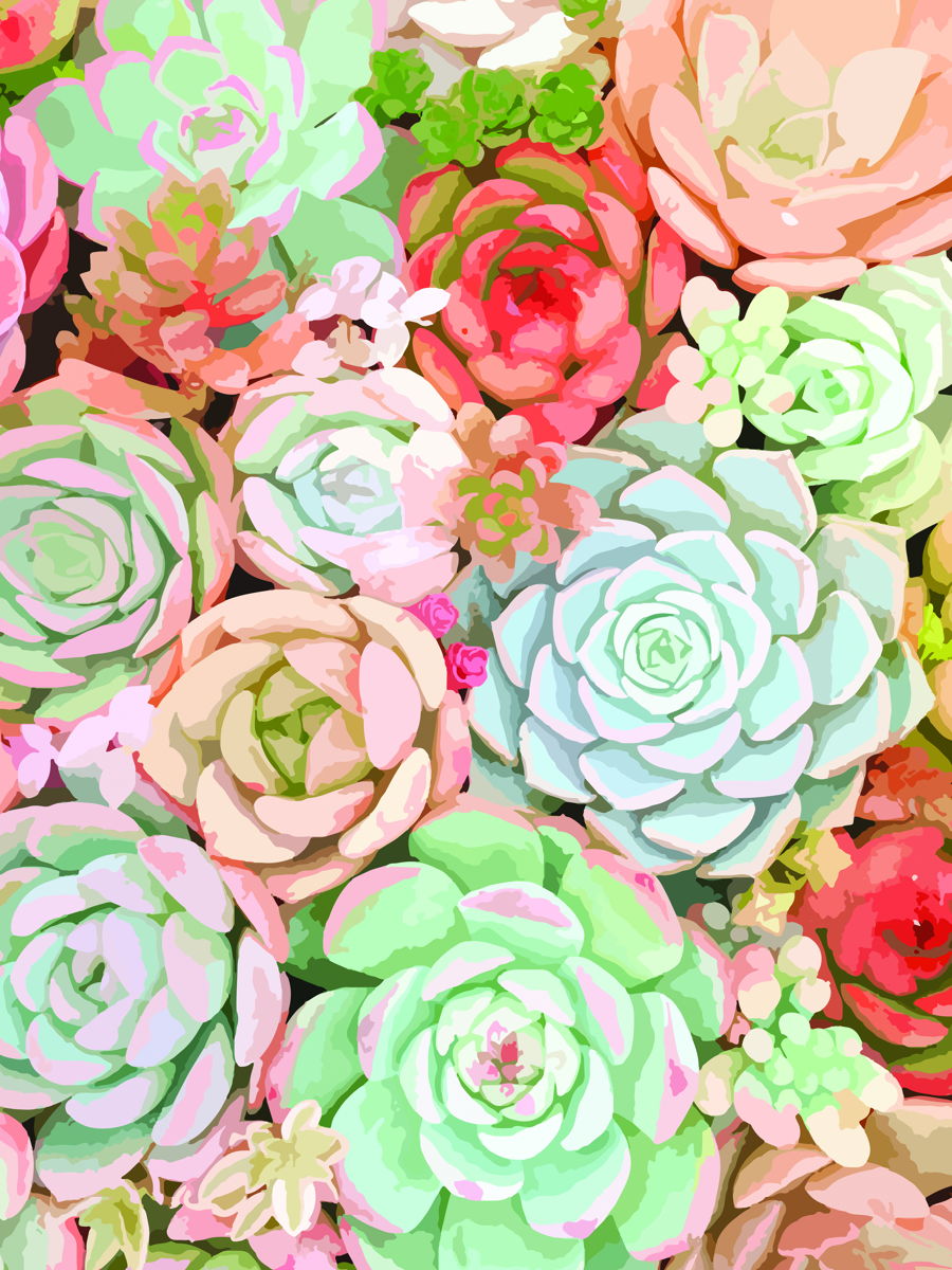 Succulent By Tamara Robinson - Pink Classy Art